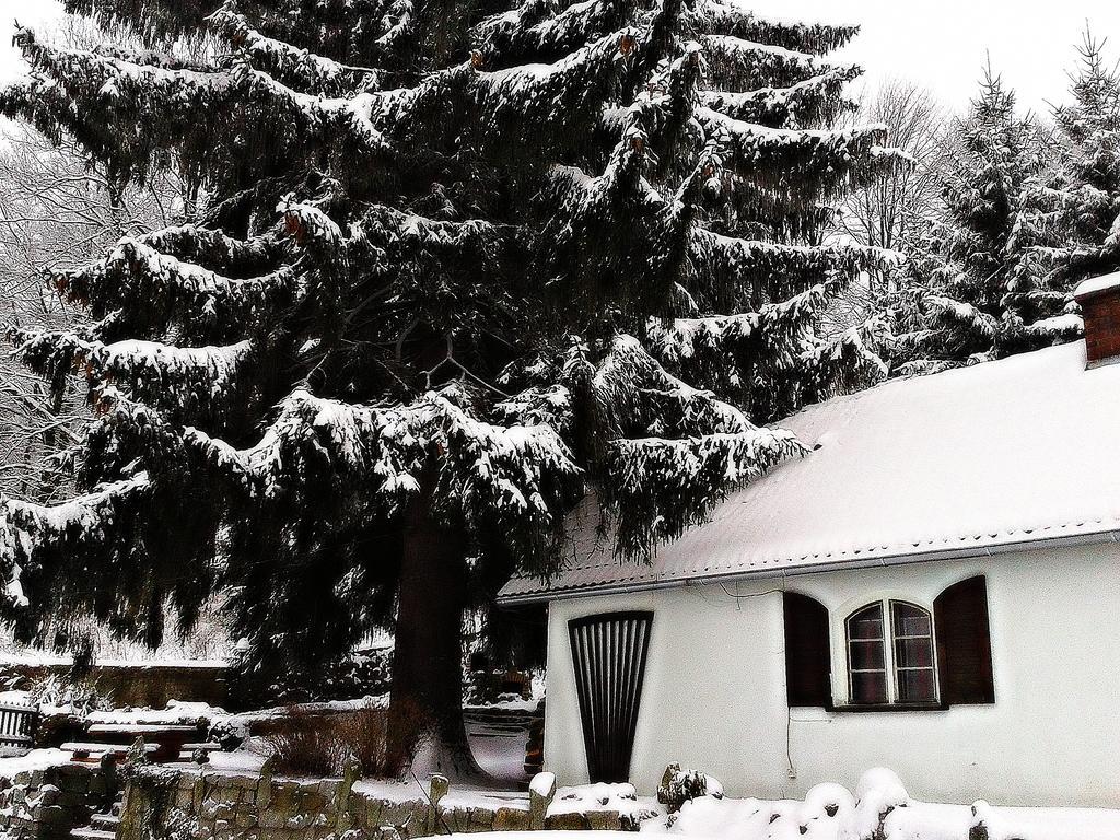 Willa Smieszek Sosnowka  Exterior photo